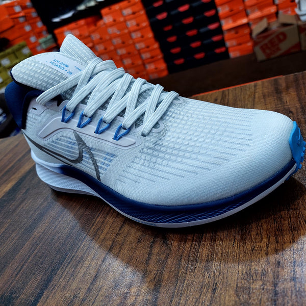 NK Zoom Pegasus 39 White / Dark Blue